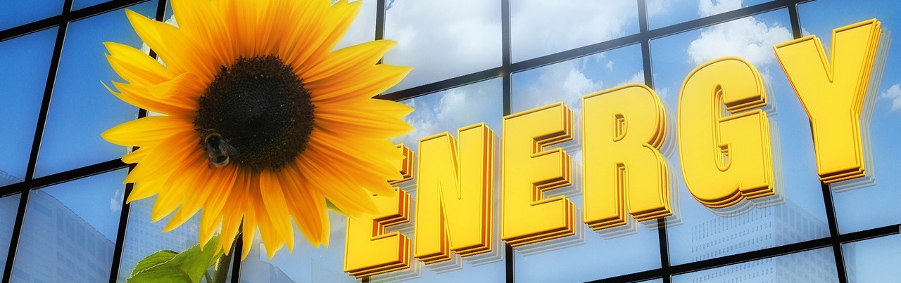 1 energia energy